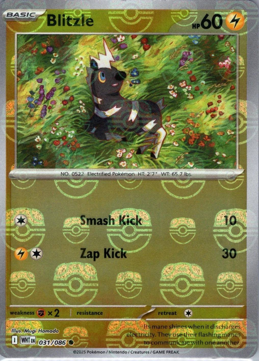 Blitzle (Master Ball Pattern), White Flare