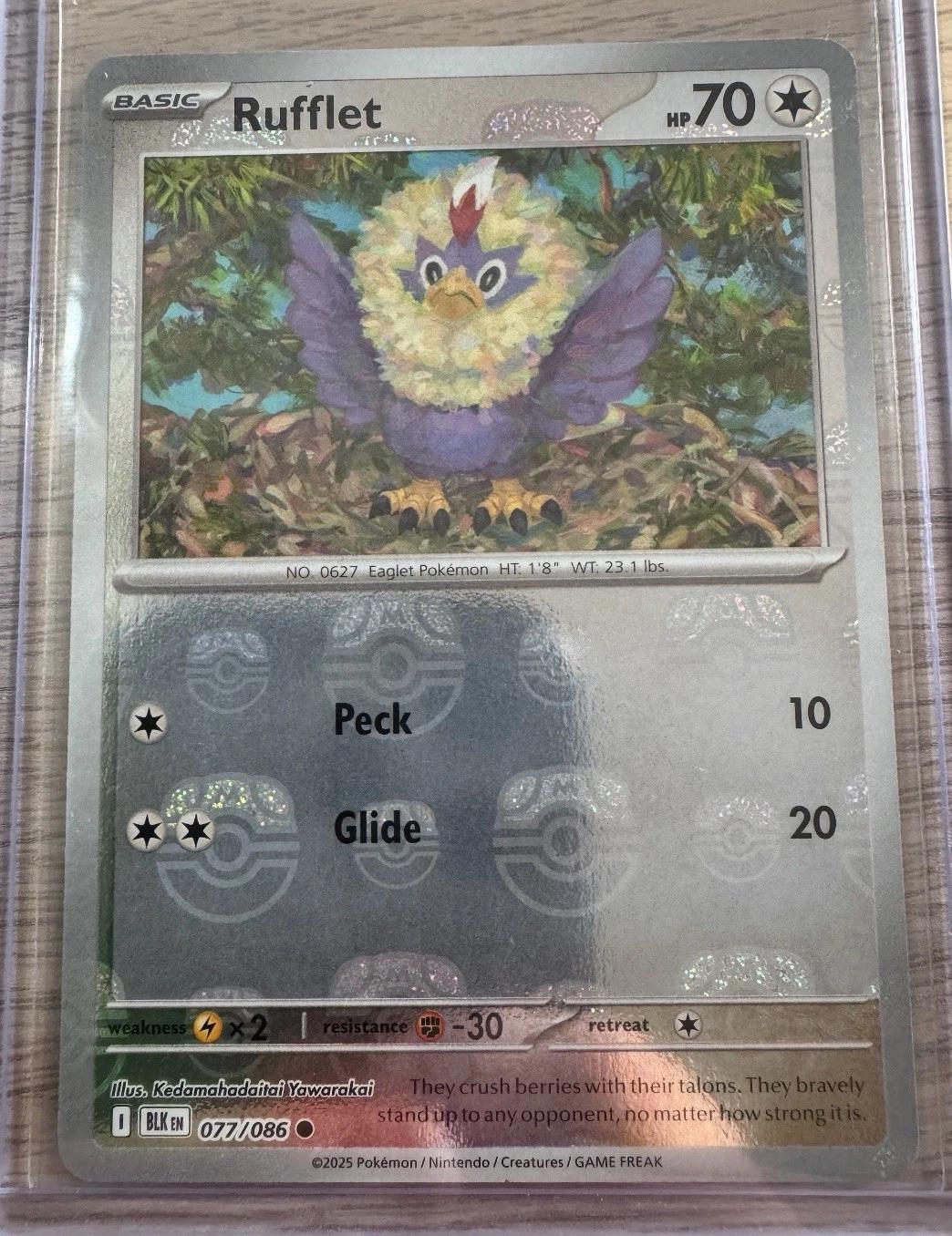 Rufflet (Master Ball Pattern), Black Bolt