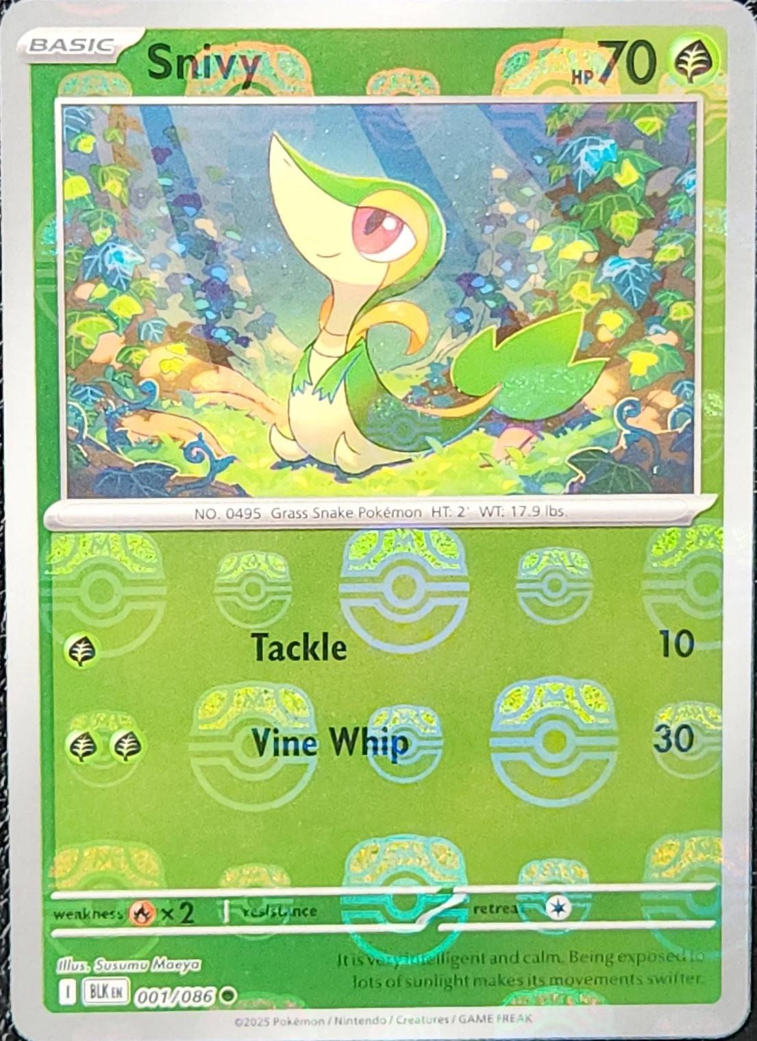 Snivy (Master Ball Pattern), Black Bolt