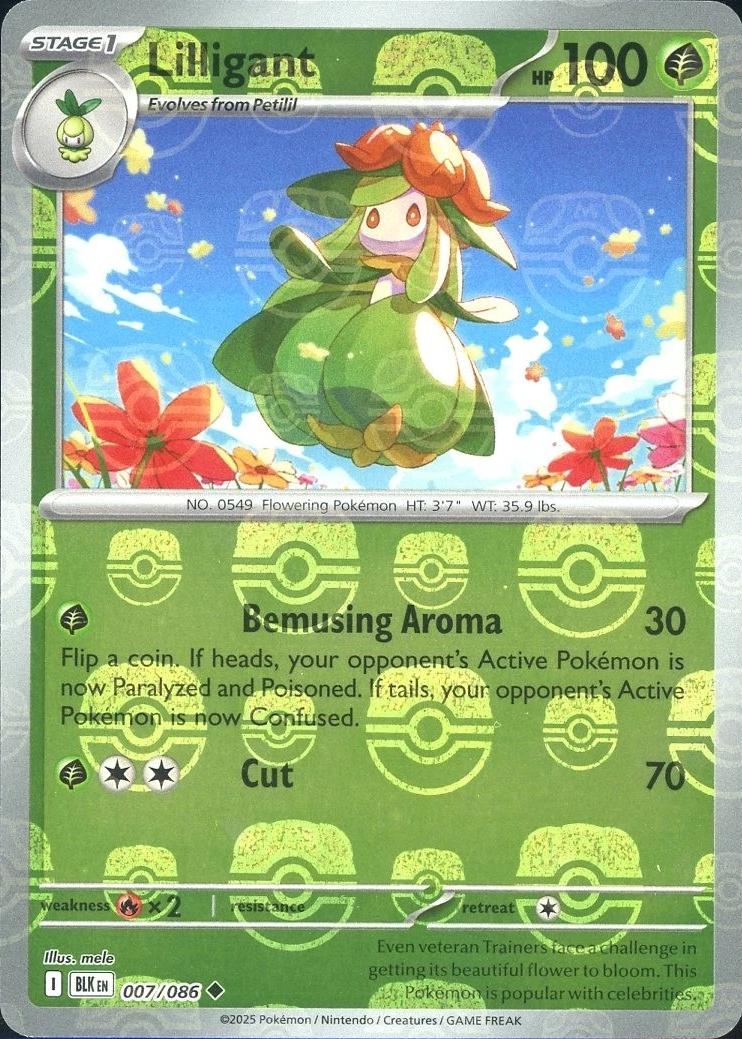 Lilligant (Master Ball Pattern), Black Bolt