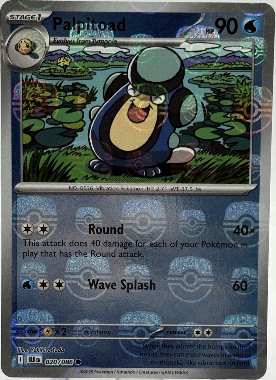 Palpitoad (Master Ball Pattern), Black Bolt