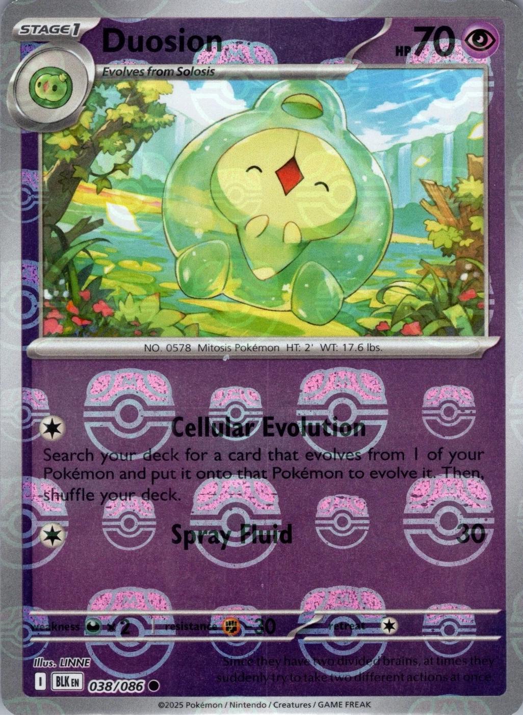 Duosion (Master Ball Pattern), Black Bolt