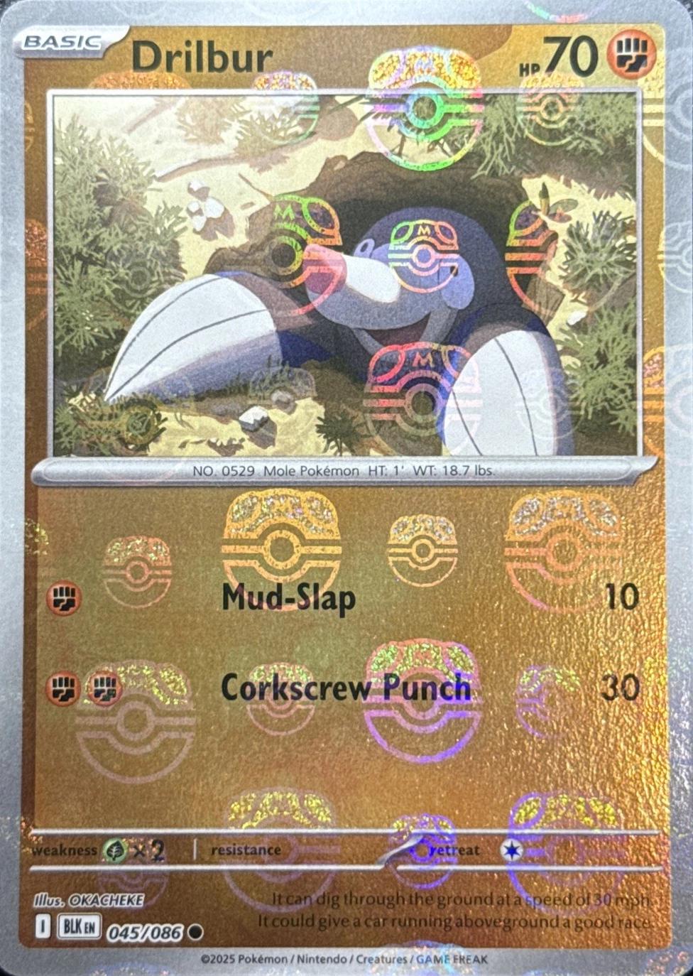 Drilbur (Master Ball Pattern), Black Bolt