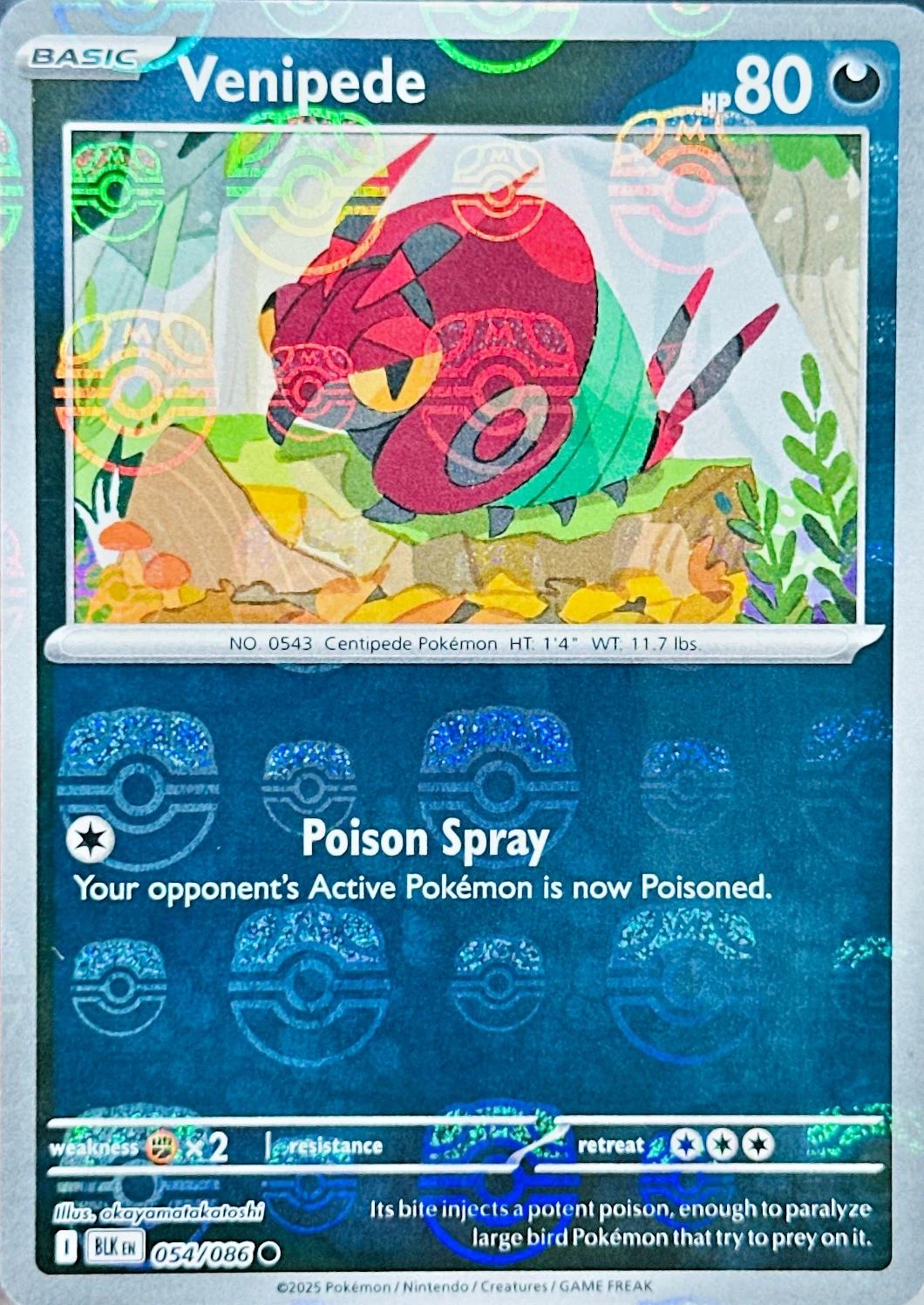 Venipede (Master Ball Pattern), Black Bolt