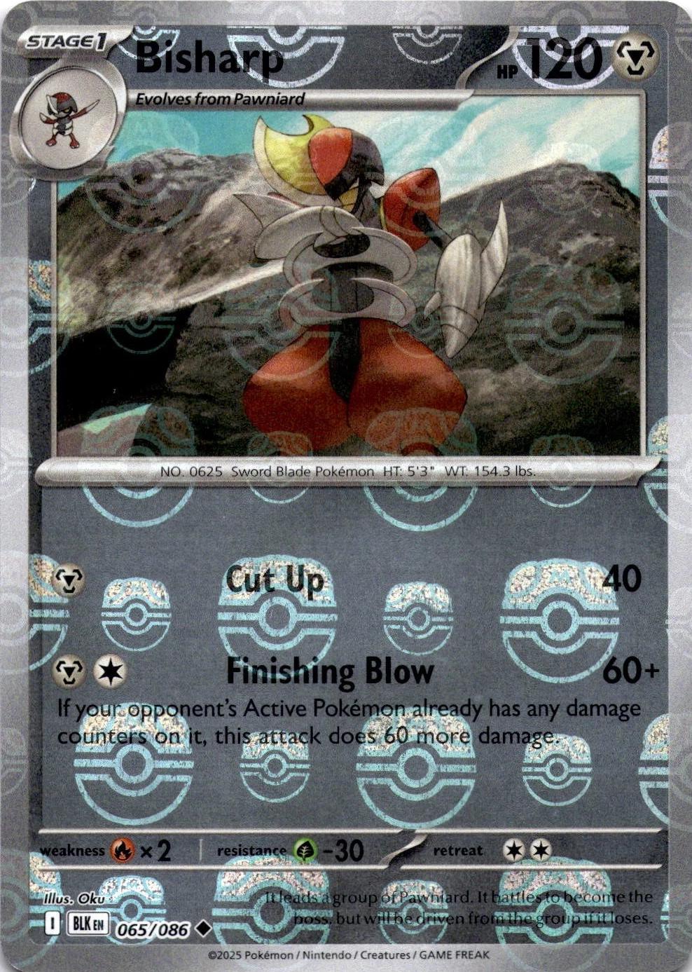Bisharp (Master Ball Pattern), Black Bolt