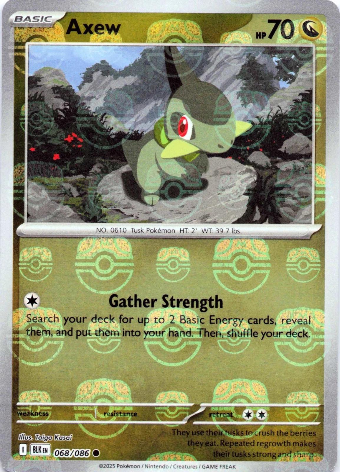 Axew (Master Ball Pattern), Black Bolt