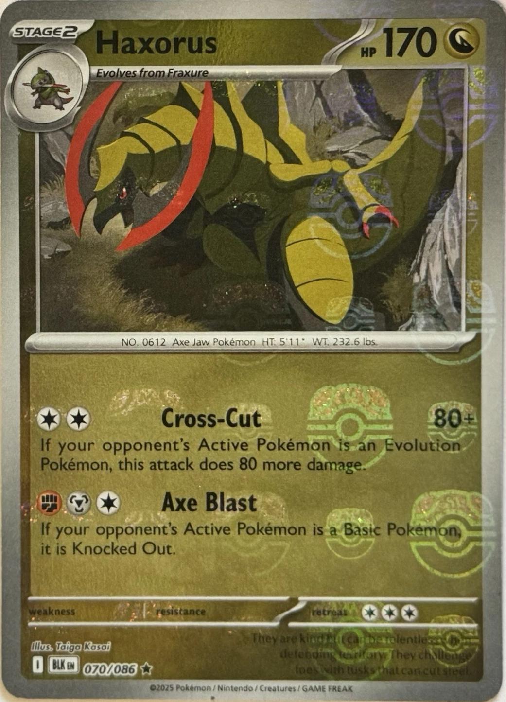 Haxorus (Master Ball Pattern), Black Bolt
