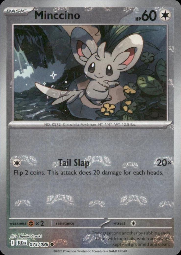 Minccino (Master Ball Pattern), Black Bolt