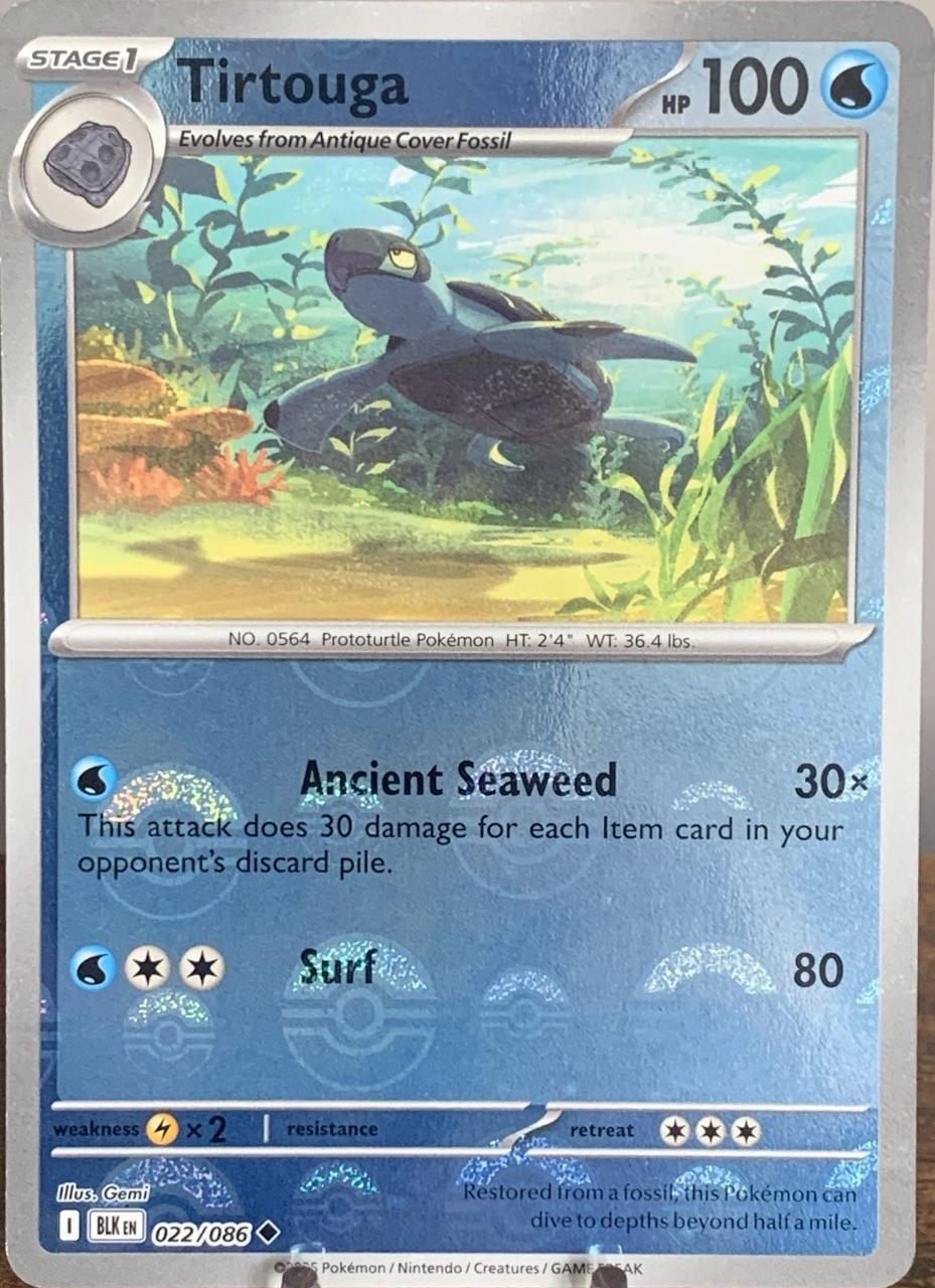 Tirtouga (Poke Ball Pattern), Black Bolt