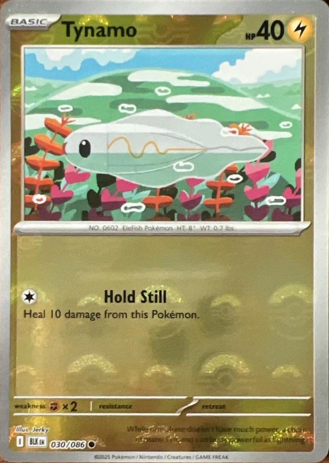 Tynamo (Poke Ball Pattern), Black Bolt