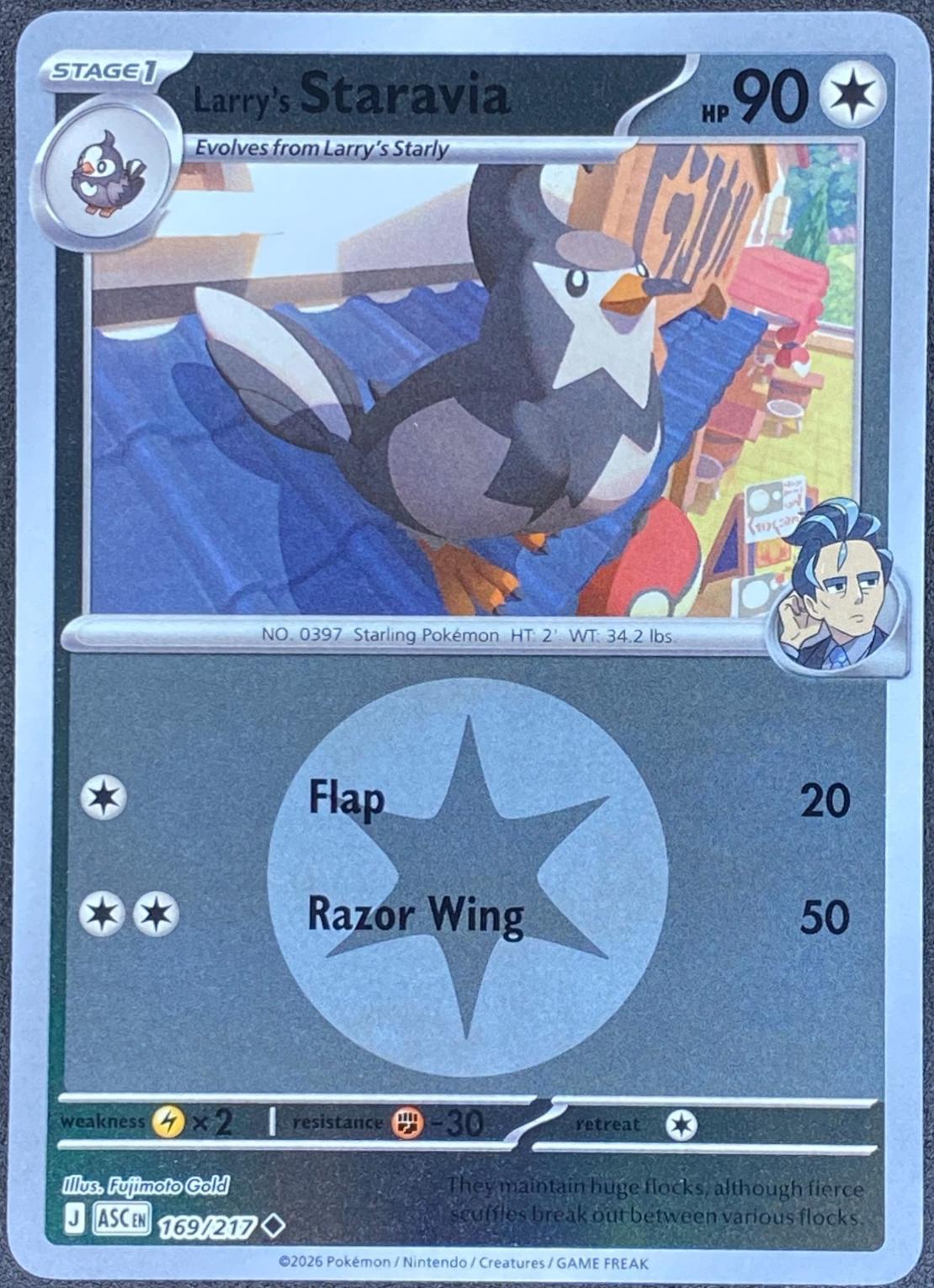 Larry's Staravia (Energy Symbol Pattern), Ascended Heroes